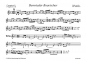 Preview: Bernrieder Boarischer