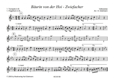 Bäurin von da Hoi - Zwiefacher