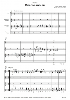 Preview: Diplomlandler