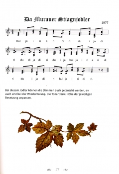 Preview: 30 Lieder und Jodler von Klaus Karl