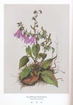 Preview: 30 Lieder und Jodler von Klaus Karl