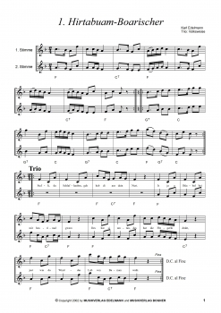 Preview: Saitenmusik zur Adventszeit, Heft 2