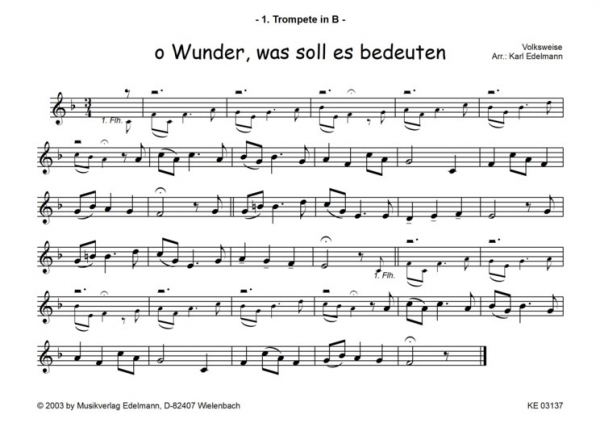 Weihnachtsmusik für Jungbläser