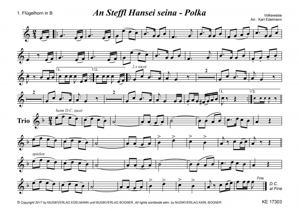 An Steffl Hansei seina - Polka